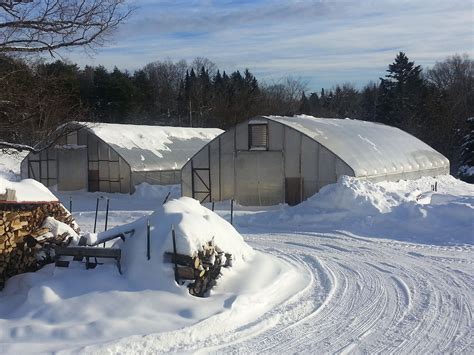 Winter: The Hottest Thing in Farming | Civil Eats