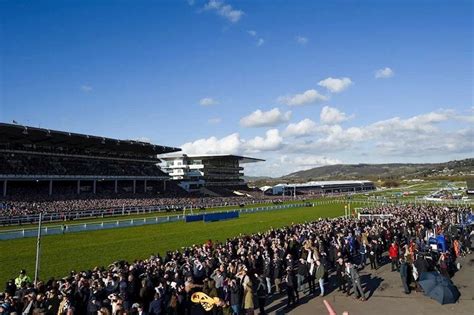 Cheltenham Racecourse | Explore | The Queens Hotel