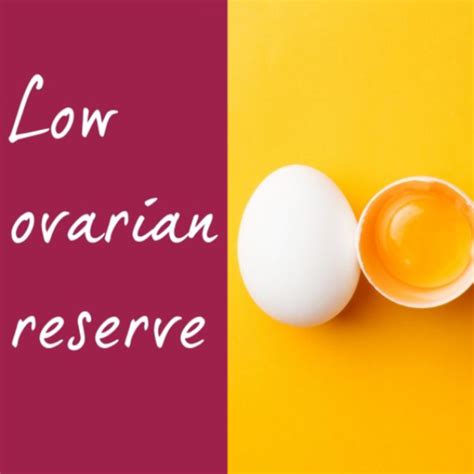 Low Ovarian Reserve Symptoms