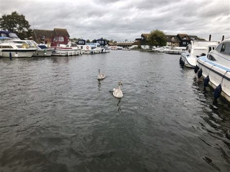 A guide to booking a boat trip on the Norfolk Broads - like love do