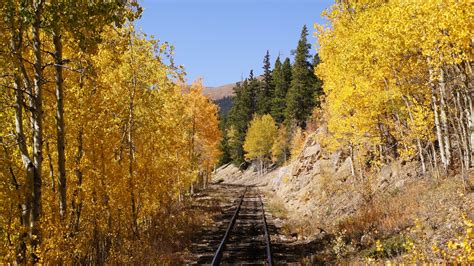 Colorado fall colors: When and where leaves will peak in 2020 | 9news.com