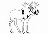 Dibujos De Animales Salvajes Dibujo Un alce Para colorear sketch template
