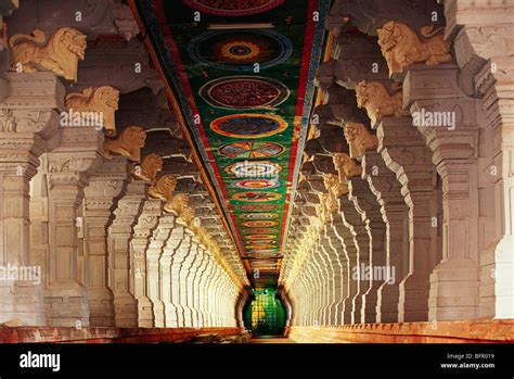 AAD 66955 : Corridor of Rameshwaram temple ; Rameswarm Rameshwar ...