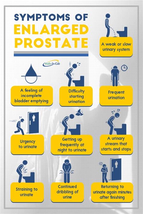 Prostate Problems? These Are The Main Symptoms - Walkin Lab