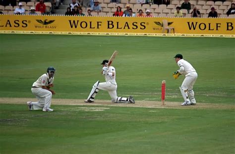 Different Types of Cricket Shots – The Ultimate Guide! | Cricket ...