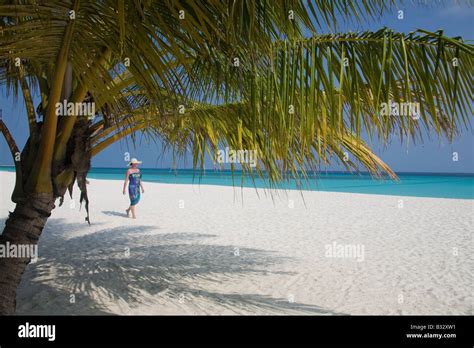 At the dream beach Stock Photo - Alamy