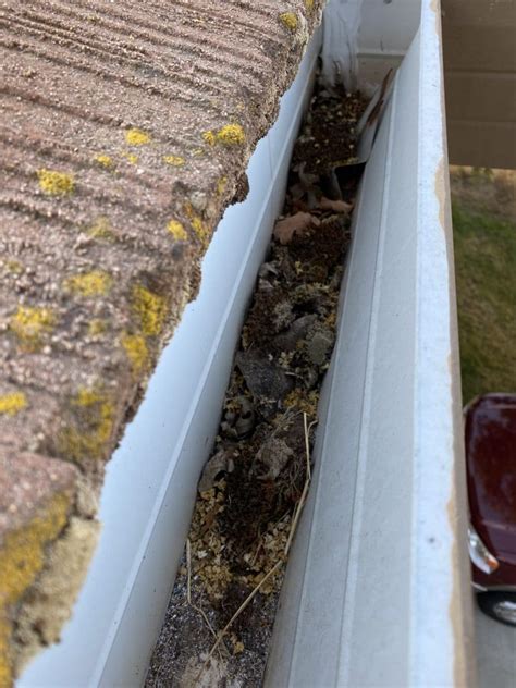 The Importance Of Rain Gutters | Sierra Vista Maintenance