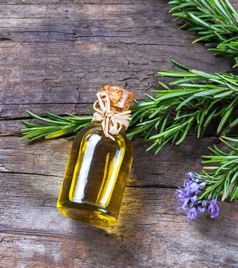 Rosemary Oil For Hair Growth – How To Use It And Side Effects