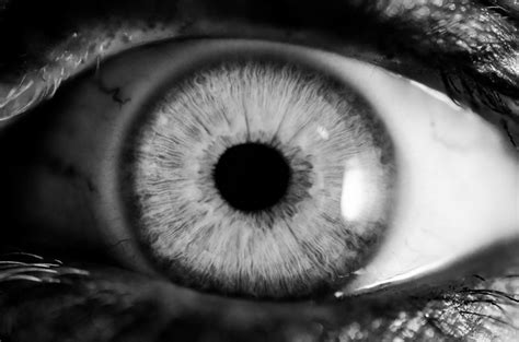 Photo of Eyeball Closeup in Black and White