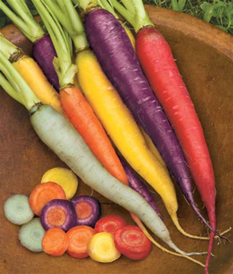 13 of the Best Carrot Varieties to Grow at Home | Gardener's Path