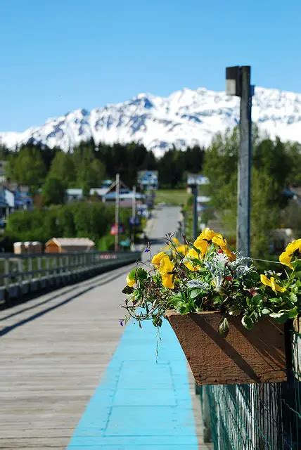 Haines, Alaska [Cruise Guide & Excursions]