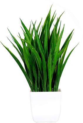 Litleo Lucky Bamboo Leaf For home office table or gift Bonsai Wild Artificial Plant with Pot ...