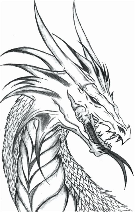 The Official Eragon Coloring Book Unique Dragon Eragon Coloring Pages ...