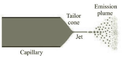 Formation of the Taylor cone in the electrospraying [1]. | Download Scientific Diagram