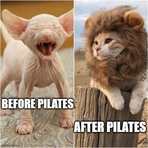 Before and after Pilates Latest Memes - Imgflip