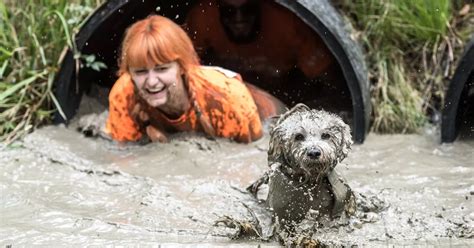 A muddy obstacle race for you and your dog is coming to the north west - Manchester Evening News