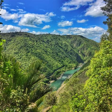 EXPERIENCING THE MANAWATU GORGE WALK | CHUR NEW ZEALAND