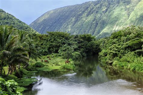 A History of the Waipio Valley on Hawaii's Big Island