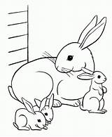 Family Rabbits Färbung Seite  Kostenlose Druckbare Malvorlagen Für Kinder sketch template