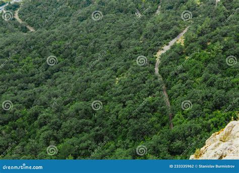 Road in the Forest in Mountain. Top View Stock Photo - Image of highway ...