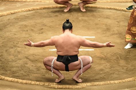 Sumo Wrestler Training and Lunch - Excursion in Japan - Japanspecialist