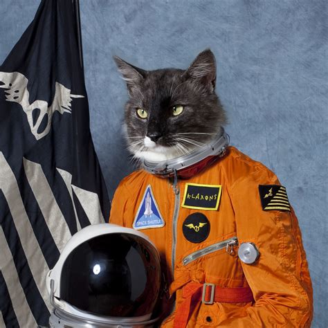 Cat Astronaut Wallpaper - WallpaperSafari