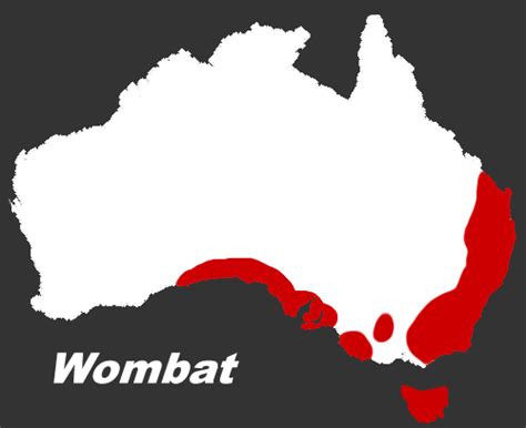 The Habitat Advocate Wombat Habitat Archives - The Habitat Advocate