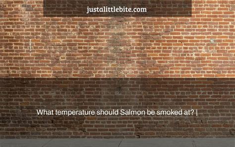 What temperature should Salmon be smoked at? | - JustALittleBite