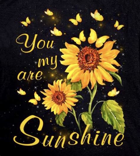 You are my sunshine | Sunflower pictures, Sunflower art, Sunflower quotes