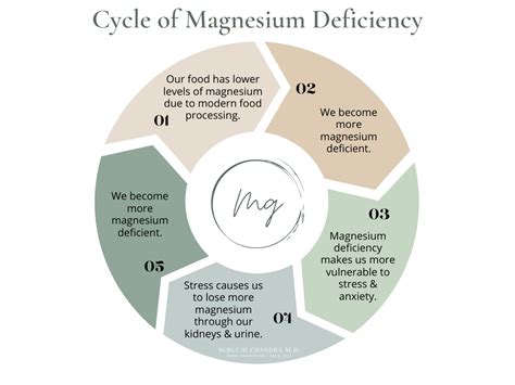 Signs & Symptoms of Magnesium Deficiency: A Doctor's Perspective - SURUCHI CHANDRA M.D.