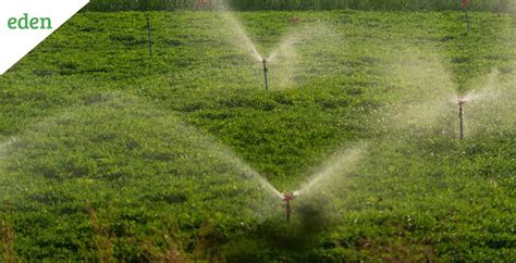 Sprinkler Irrigation: Everything you need to know | Eden Lawn Care and ...