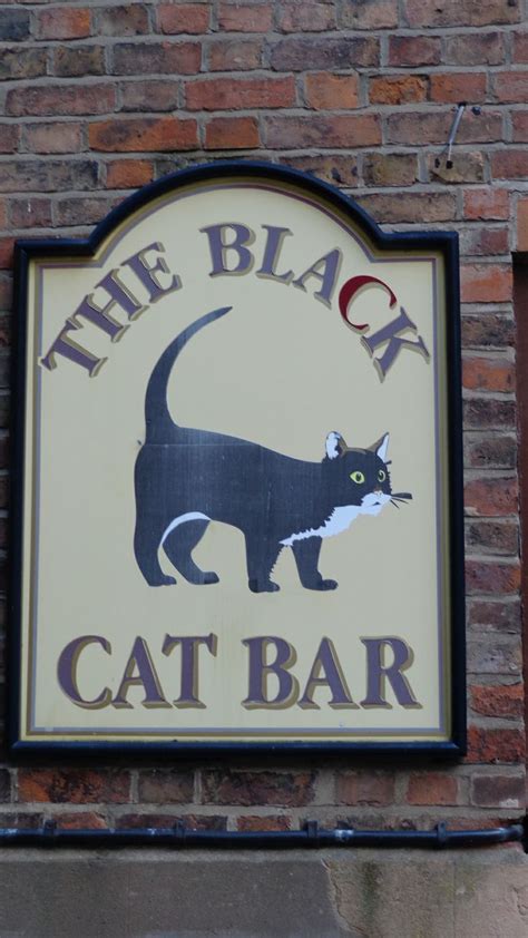 The Black Cat Bar (Gloucester) | Crazy signs | Pinterest