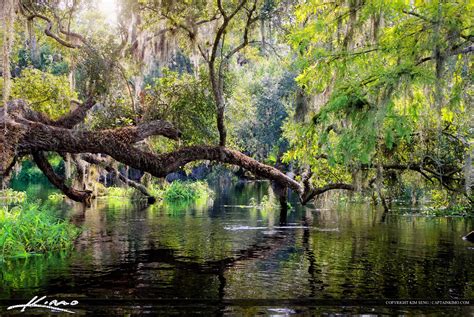 Fishing Eating Creek River Palmdale Florida