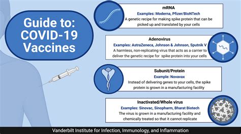 Guide to: COVID-19 Vaccines | Vanderbilt Institute for Infection, Immunology and Inflammation