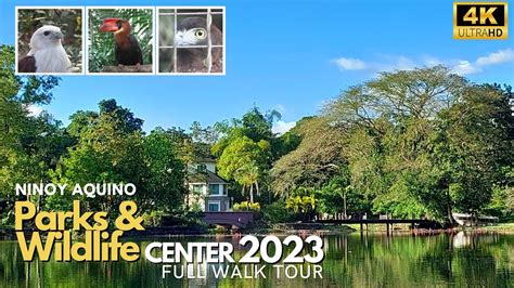 Parks & Wildlife 2023| [4K] Walk Tour in Quezon City #philippines - YouTube