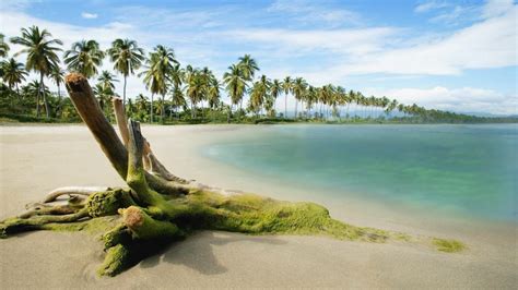 wallpaper proslut: Beautiful Romantic Beach Full HD Real Nature Background Wallpaper For Laptop ...