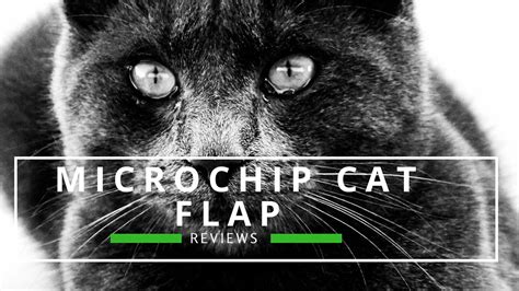 Best Microchip Cat Flap Reviews UK | Buying Guide & Comparisons