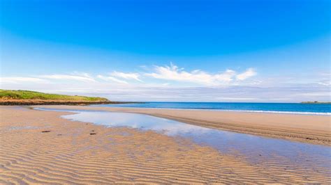 Nicotine pouches wash up on Orkney beaches after ship loses load ...