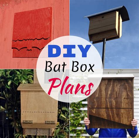 16 DIY Bat Box Plans You Can Build Today - DIYnCrafty