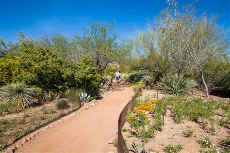 Desert Botanical Garden - US Route 89