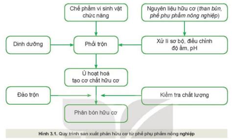 Công nghệ sinh học có vai trò như thế nào trong sản xuất phân bón? Những loại phân bón nào được ...