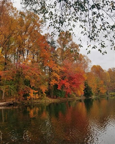 a lake surrounded by lots of trees in the fall