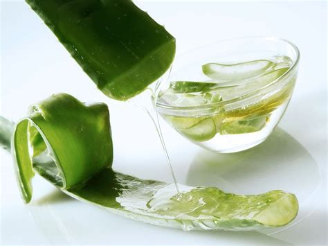 Aloe Vera Hair Mask: Benefits, DIY Recipes, and How to Use