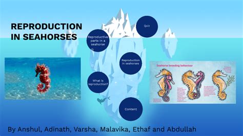 Reproduction in Seahorses by Adinath Sumesh on Prezi