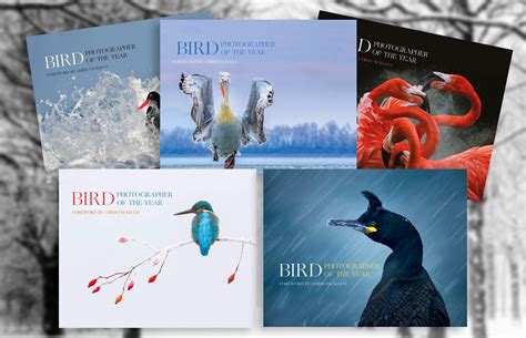 The Bird Photographer of the Year Shop — Bird Photographer of the Year