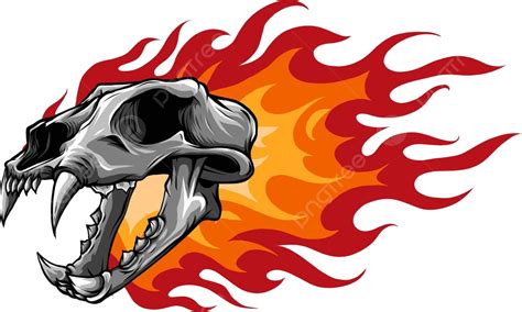 Saber Toothed Tiger Skull PNG, Vector, PSD, and Clipart With Transparent Background for Free ...