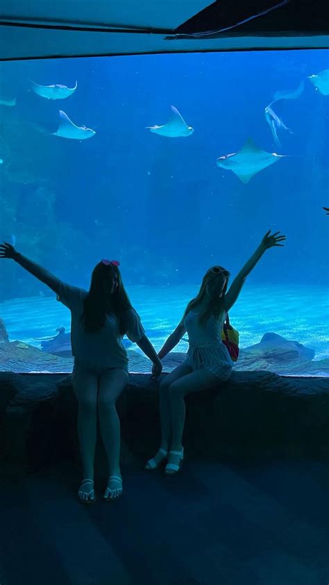 aquarium with friends | Winter vacation, Beach vacation, Ocean fun