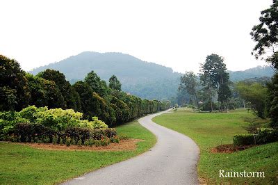 There is always sunshine after rainstorm ...: Kepong Botanical Gardens