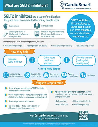 SGLT2 Inhibitors: What Are SGLT2 Inhibitors? – Infographic ...