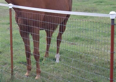 No Climb Horse Fence with Wood Posts and T-posts